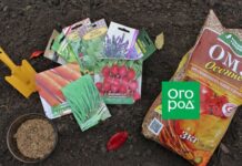 Что посеять и посадить в ноябре: 10 культур для средней полосы