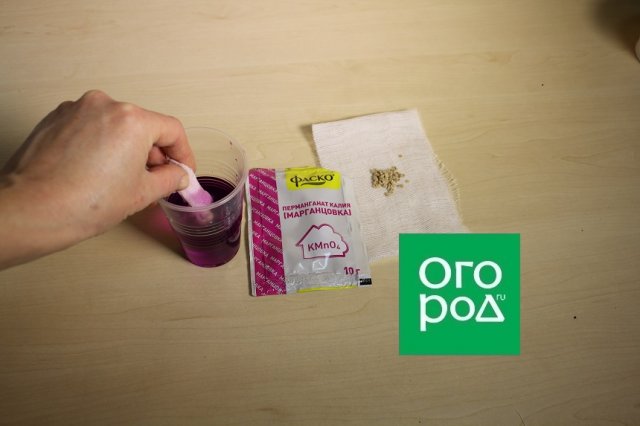 10 ошибок начинающих дачников