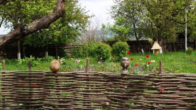 10 простых способов создать бюджетный и красивый сад