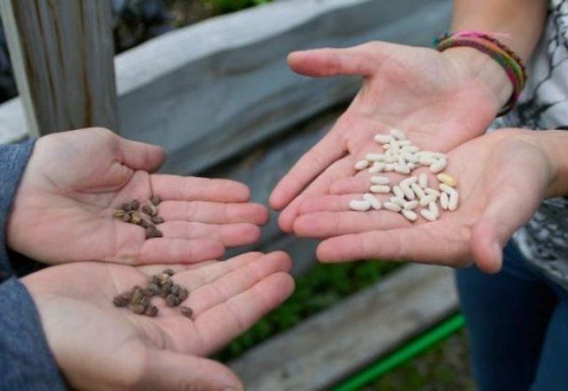 10 простых способов создать бюджетный и красивый сад