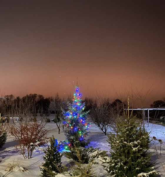 7 невероятных идей для украшения дачи к Новому году | ivd.ru