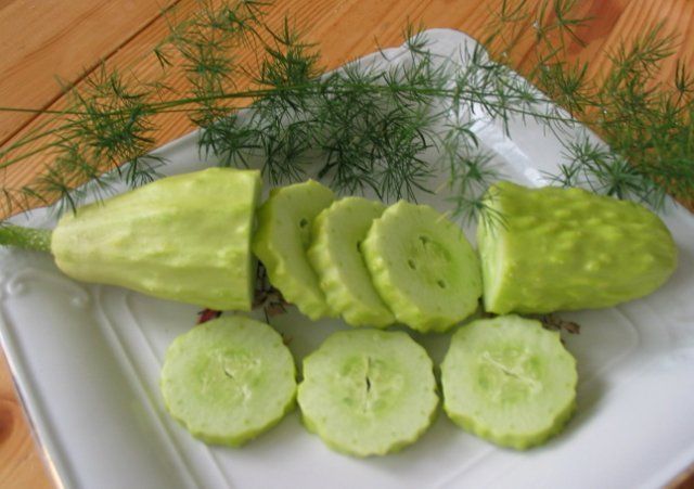 Необычные и экзотические виды огурцов для дачи 
