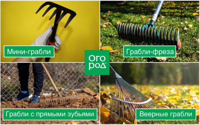 10 инструментов, которые должны стоять в каждом дачном сарае 