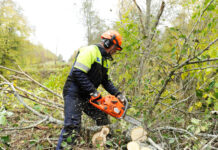 Как производится расчистка участков от кустарников?