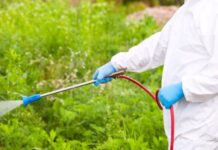 Как обработать участок от клещей и нужно ли это вообще