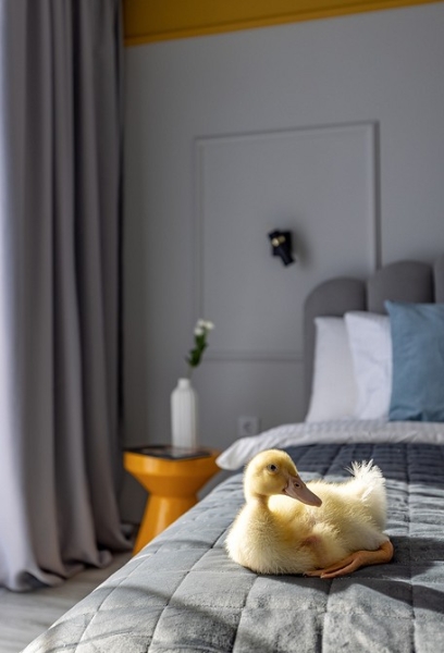 До и после: маленькая студия 27 кв. м для троих гостей