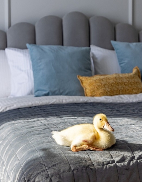 До и после: маленькая студия 27 кв. м для троих гостей