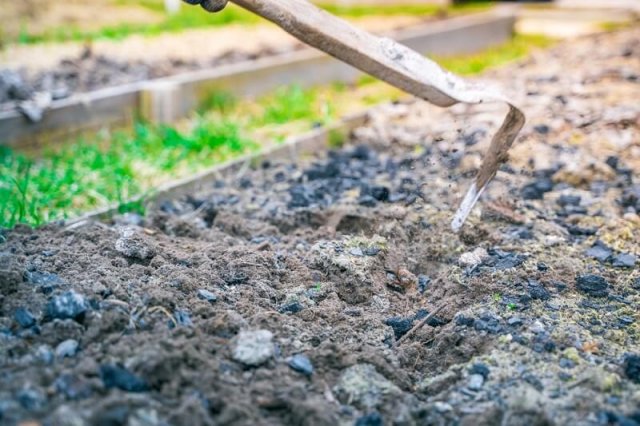 Чем заменить лопату: 5 удобных и доступных вариантов 
