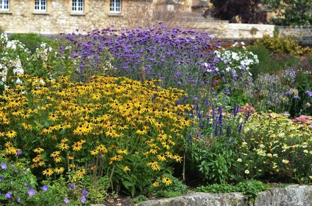 Цветник в стиле кантри: лучшие растения и правила посадки
