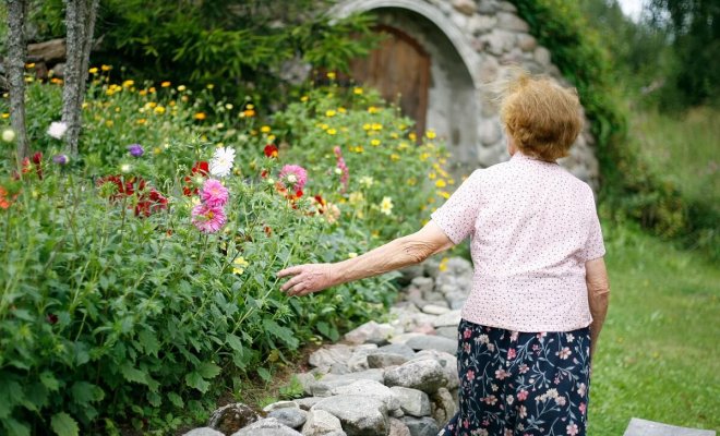 cvetnik-v-stile-kantri-luchshie-rastenija-i-pravila-posadki-c5917d1