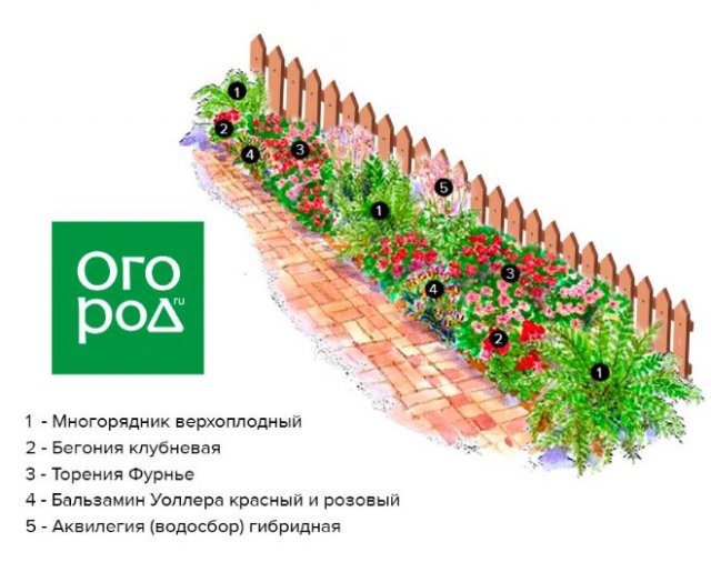 Клумба вдоль забора: схемы, растения и особенности ухода 