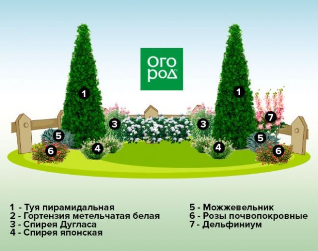 Клумба вдоль забора: схемы, растения и особенности ухода 
