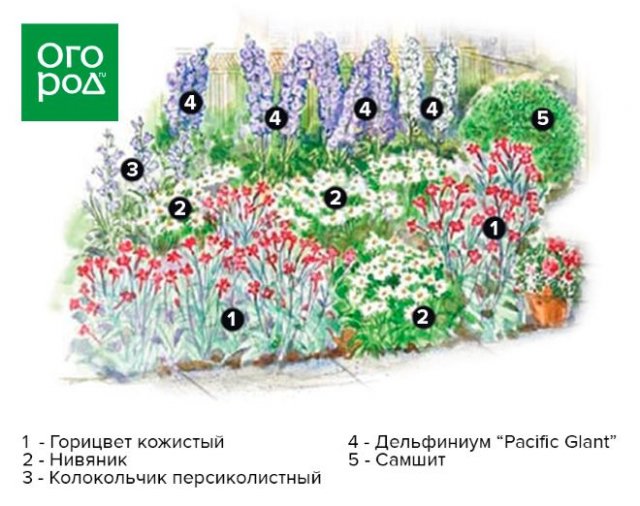 Клумба вдоль забора: схемы, растения и особенности ухода 
