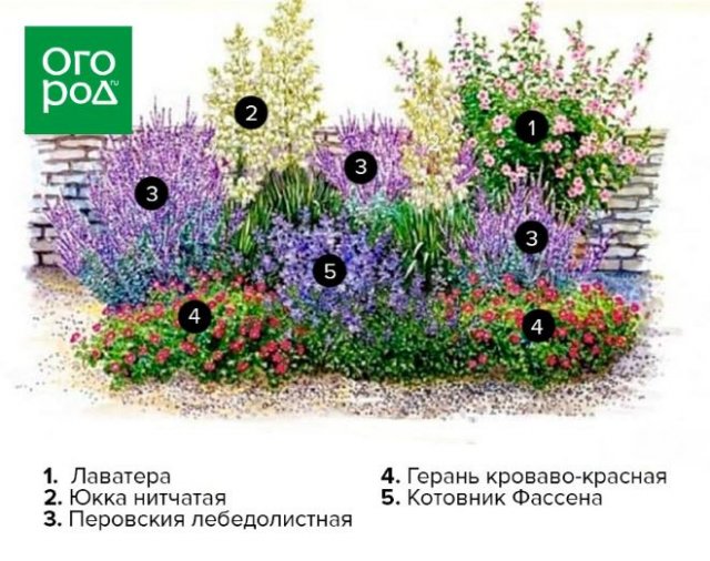 Клумба вдоль забора: схемы, растения и особенности ухода 