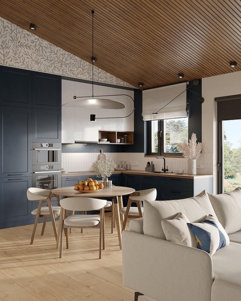 Кухня-гостиная в частном доме: идеи обустройства и примеры проектов с планировками (90 фото)