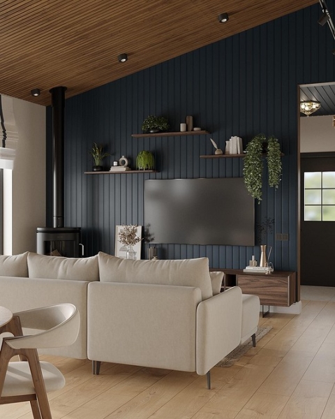 Кухня-гостиная в частном доме: идеи обустройства и примеры проектов с планировками (90 фото)