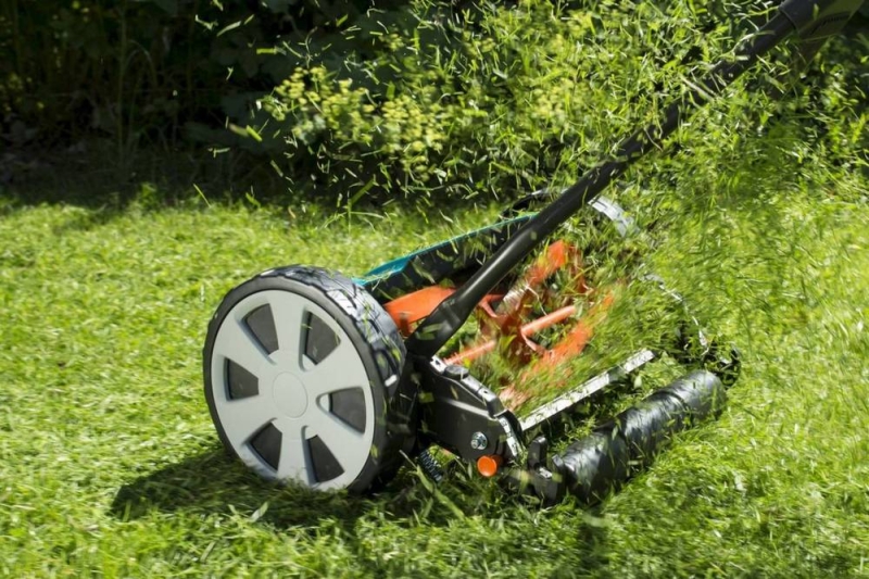 Механическая газонокосилка – верный помощник садовода
