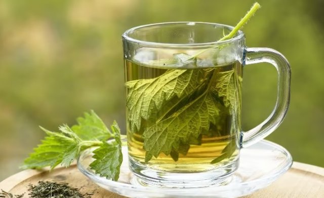 С грядки в чайник: 10 ароматных и полезных растений 