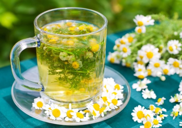 С грядки в чайник: 10 ароматных и полезных растений 