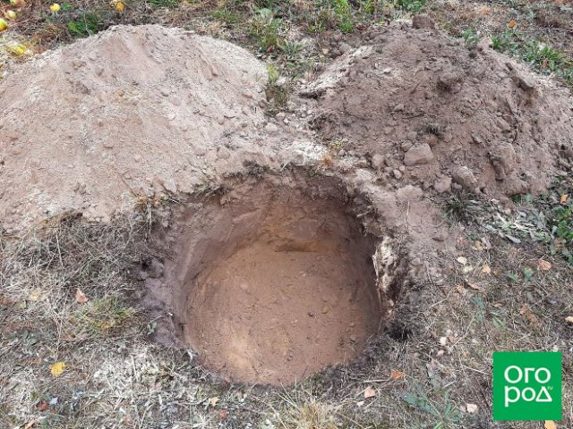 8 дел в конце лета, о которых забывают многие дачники 