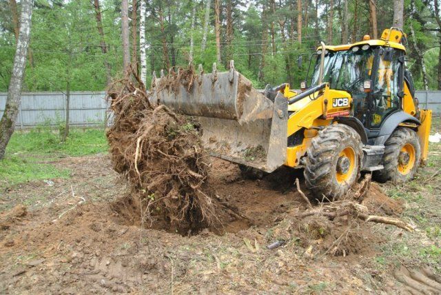 9 действенных способов выкорчевать старый пень на участке 