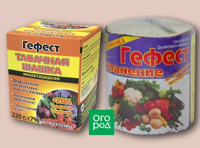 Серная или табачная? Какую шашку выбрать для телицы и погреба в конце сезона 