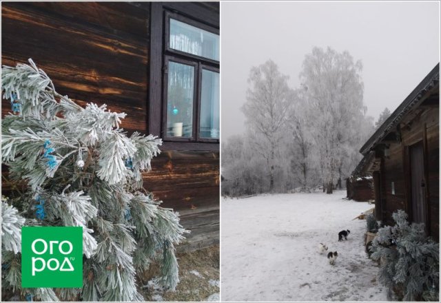 Как из заброшенного деревенского участка сделать стильное место для отдыха 
