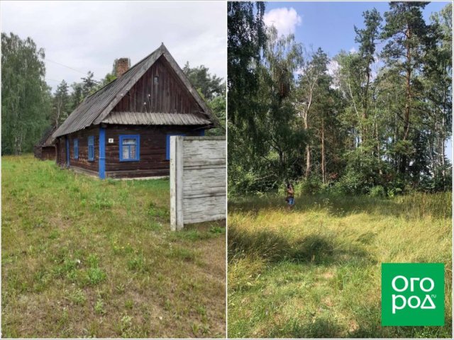Как из заброшенного деревенского участка сделать стильное место для отдыха 