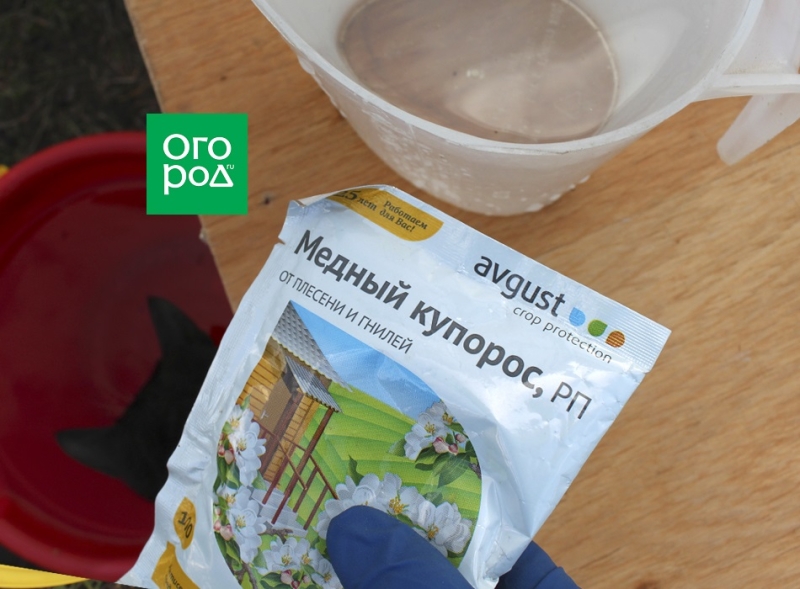 Уборка сада и огорода – 7 основных правил 