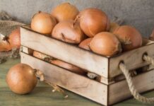 Хранение лука зимой в квартире и доме: 14 способов, с которыми ни одна луковица не пропадет (и 47 наглядных фото)