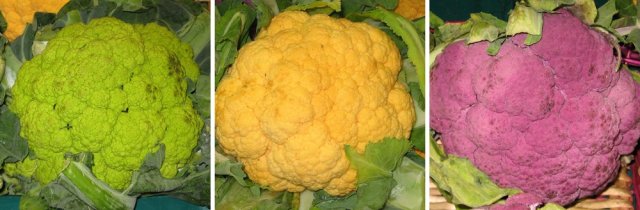 Чем брокколи отличается от цветной капусты 