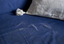 Если вас замучила шерсть питомцев: 20 гаджетов и аксессуаров, которые спасут