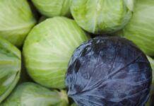 Хранение капусты: 6 способов сберечь свежие кочаны и 3 рецепта заготовок