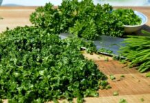 Как сохранить петрушку на зиму: 7 лучших способов (от засолки до заморозки)