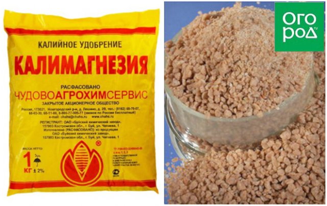 Калимаг – что за удобрение и как им пользоваться 