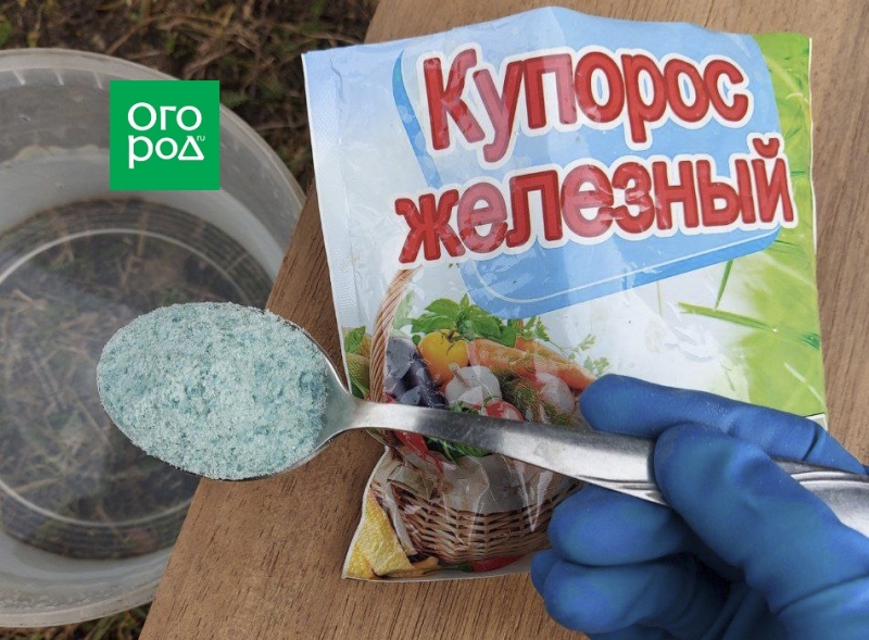 Препараты от болезней сада и огорода (без меди!) 