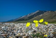 Самые красивые и интересные парки России: топ-8