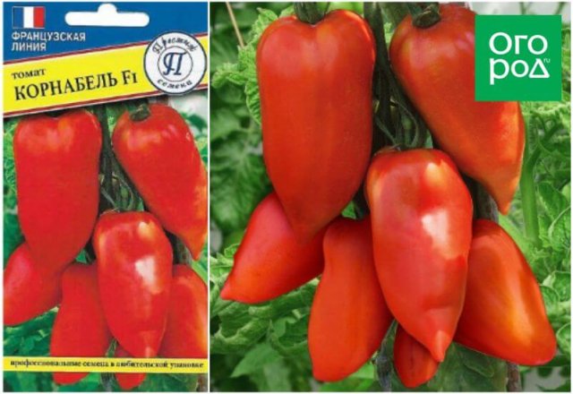 20 самых урожайных сортов томатов по итогам 2023 года 