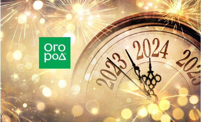 Что поставить на новогодний стол, если готовить нет времени: 5 гениальных идей 