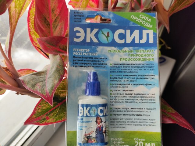 Что такое виталайзеры и как их использовать 