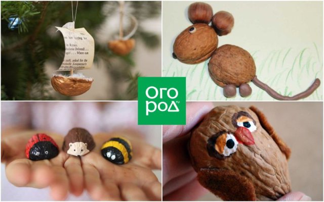Как использовать скорлупу орехов на даче и дома 