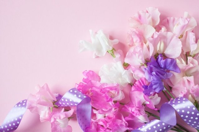 10 вещей, которые вам никто не расскажет о лозах 