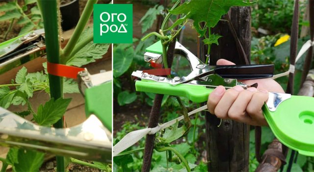 15 садовых изобретений для продвинутого огородника 