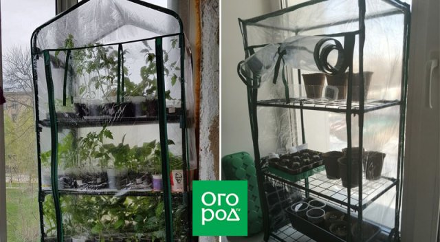 15 садовых изобретений для продвинутого огородника 