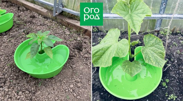 15 садовых изобретений для продвинутого огородника 