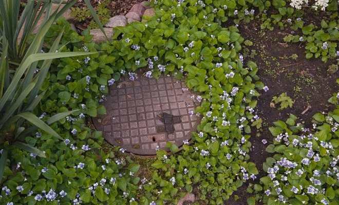 5-idej-kak-zadekorirovat-kryshku-septika-na-vidnom-meste-na-uchastke-fcd155c