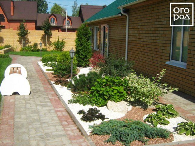 Как составить красивую композицию из хвойных: 9 оригинальных идей с фото 