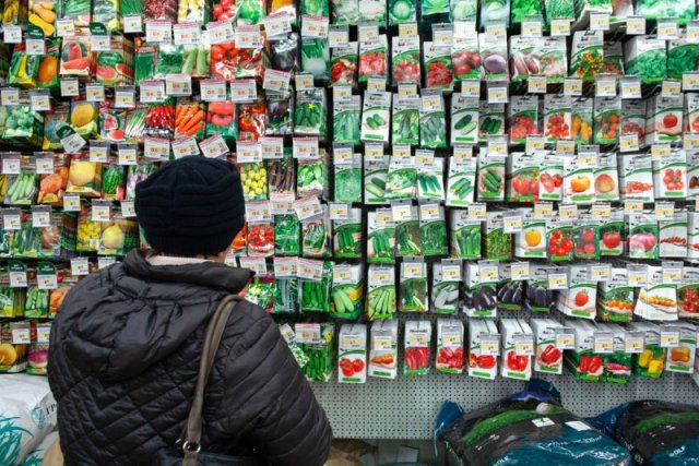 Садовые центры зимой: что можно купить, а что категорически не рекомендуется 