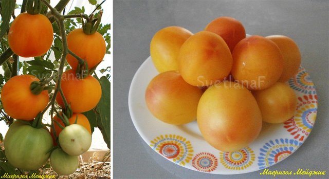 Самые сладкие и сочные: 15 сортов и гибридов томатов, которые вкуснее всего есть свежими 