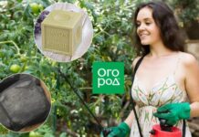 Применение марсельского и черного мыла на дачном участке